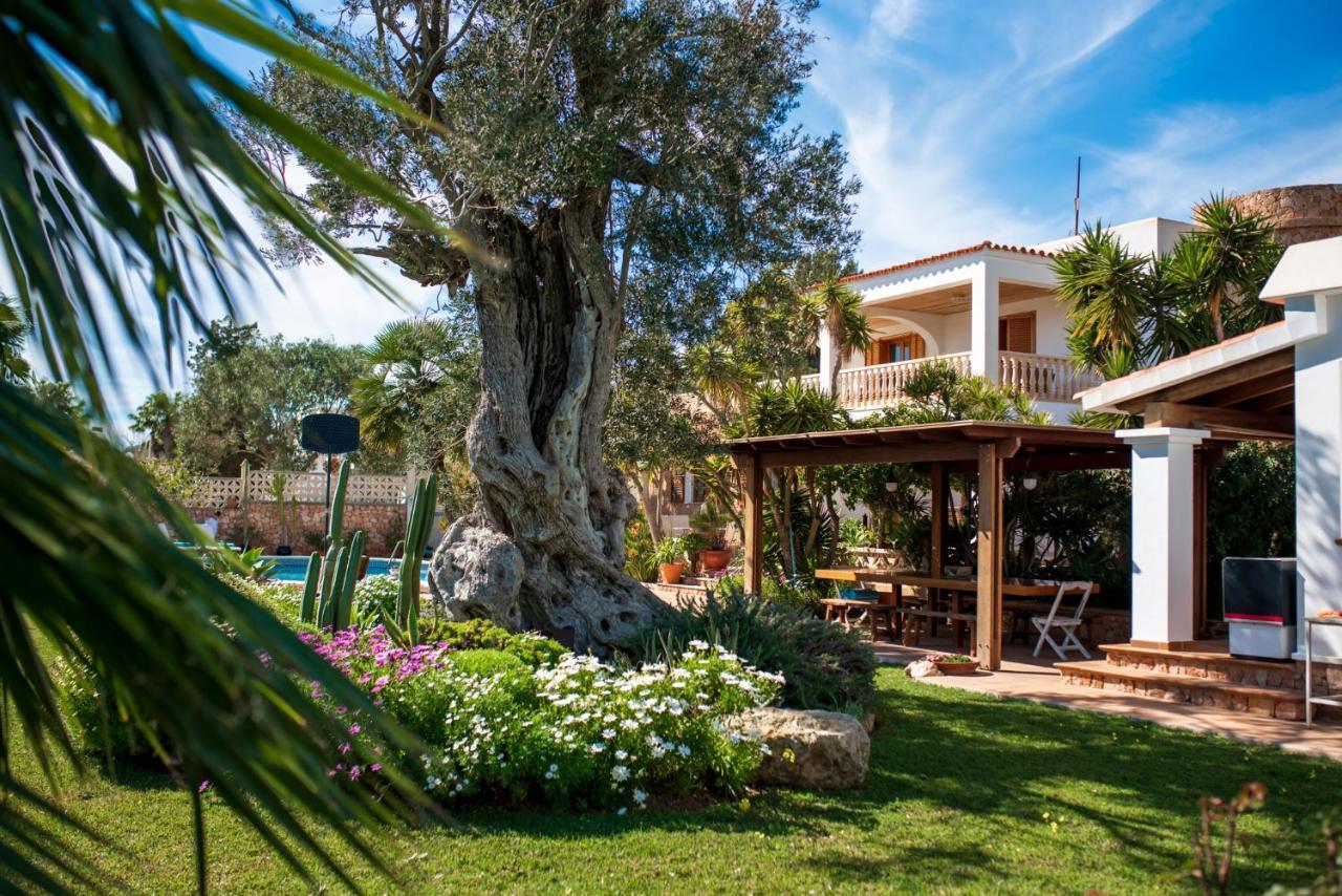 New! Sa Caleta Perfecta Para Familias Villa
