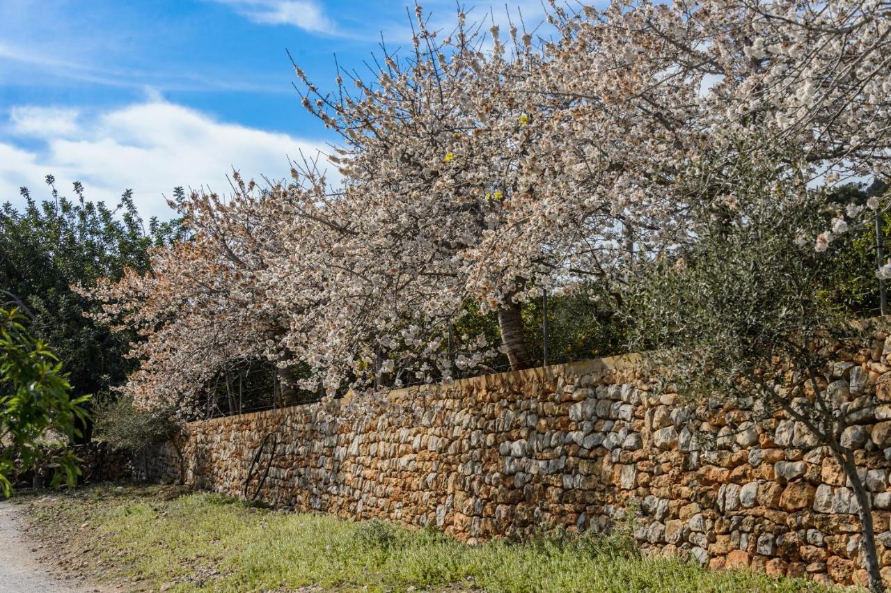 Apartment Rural Prats *