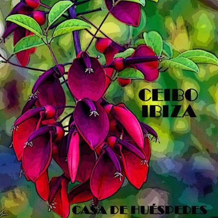 Ceibo - Hostel *