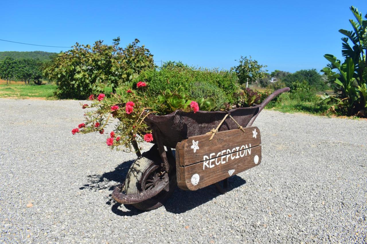 Farm stay Agroturismo Sa Marina - Adults Only *