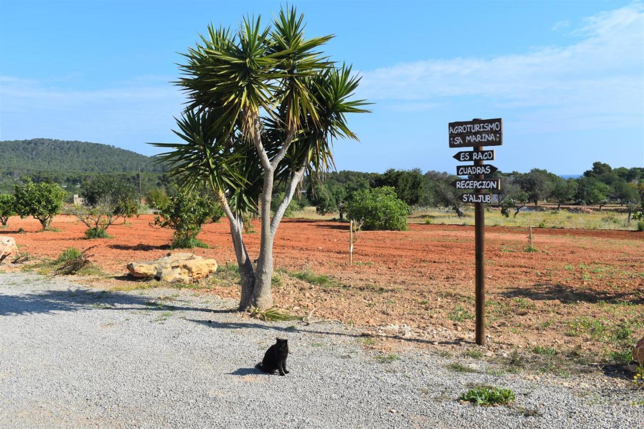 Agroturismo Sa Marina - Adults Only Farm stay