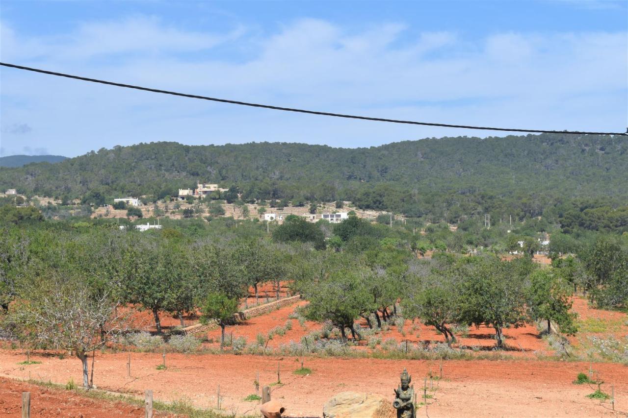 Farm stay Agroturismo Sa Marina - Adults Only