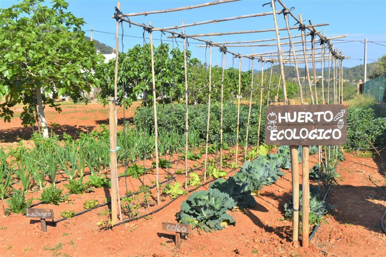 Agroturismo Sa Marina - Adults Only Farm stay *
