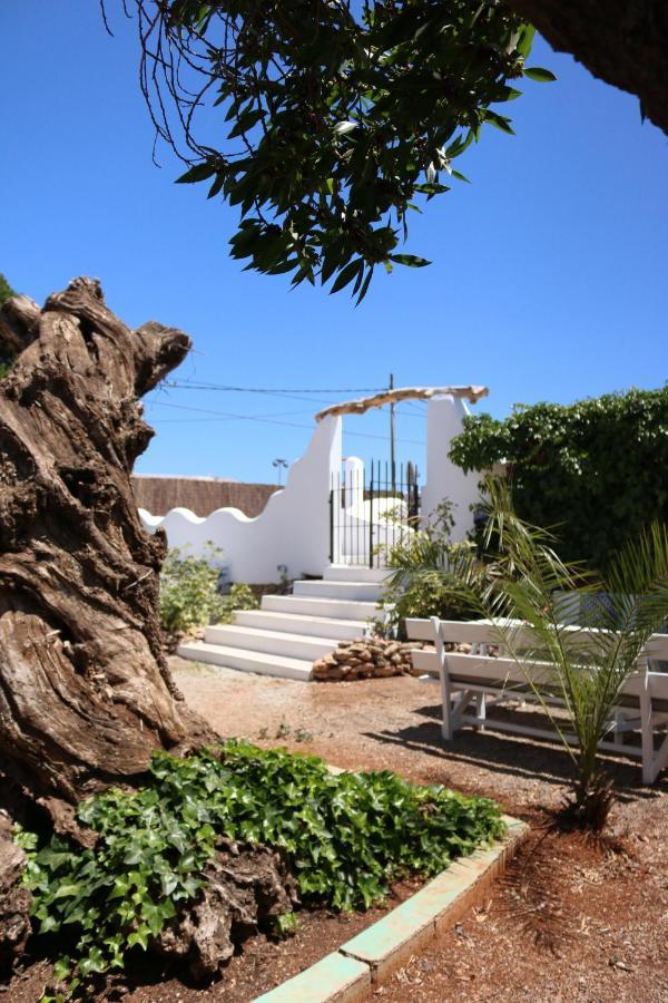 Flamingo Es Canar (Ibiza)