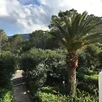 Cana Garci