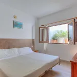 Apartmentos Nort