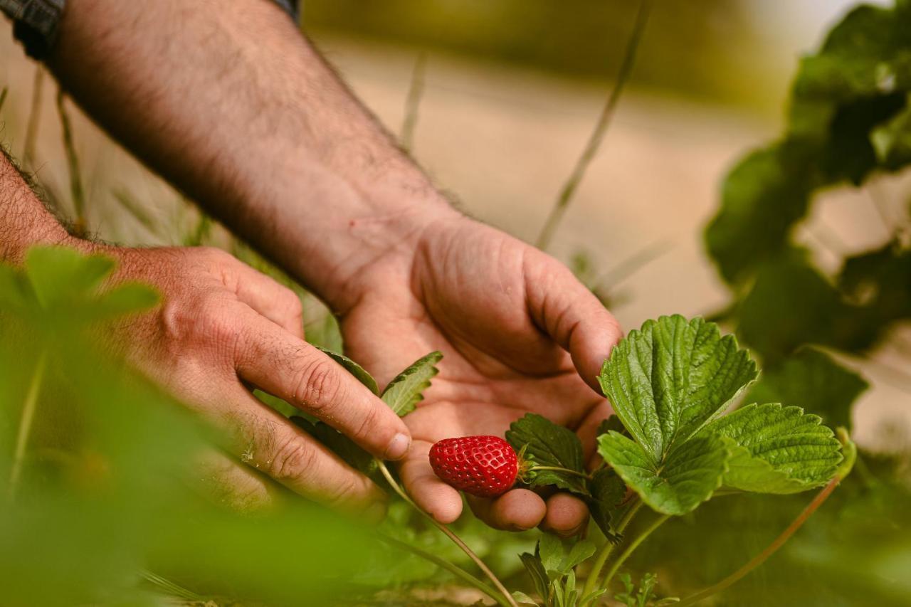 Farm stay Rural Xereca *