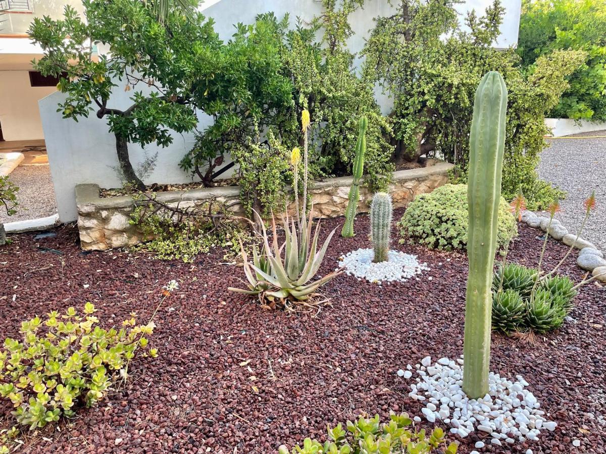 Mossenyer Villa San Antonio (Ibiza)