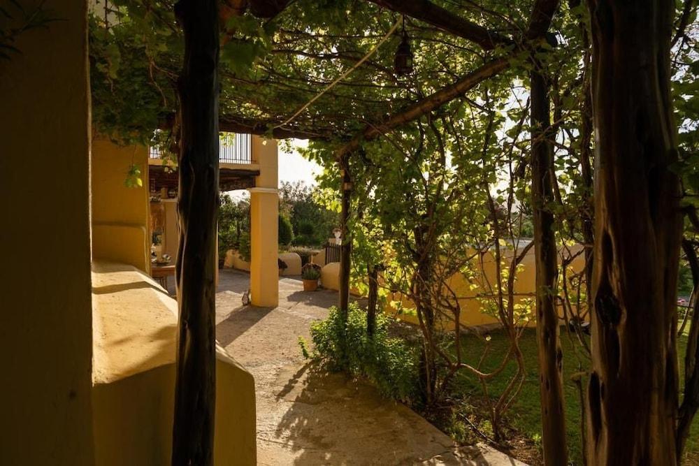 Mariposas Ibiza San Rafael De Sa Creu