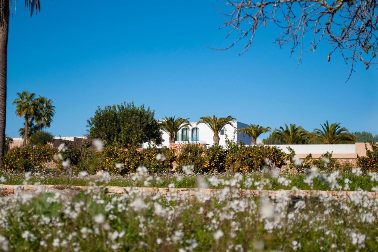 Safragell Ibiza & * Sant Llorenc de Balafia