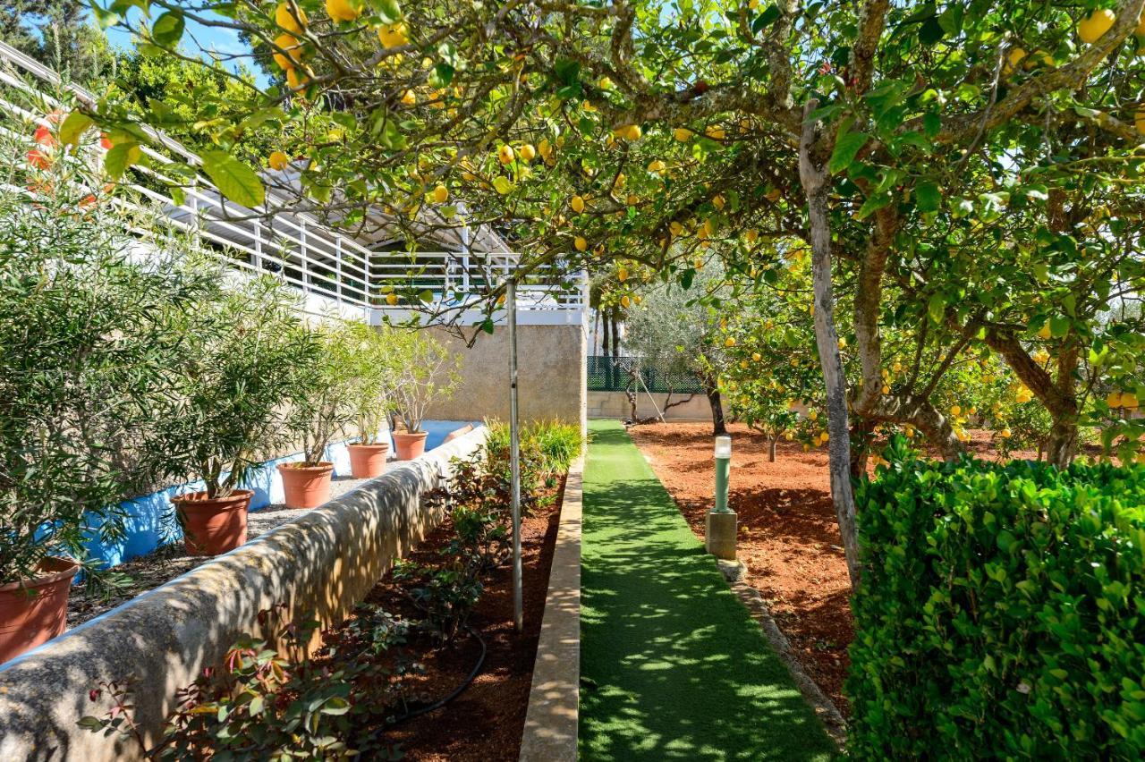 S'hort Des Baladres Ibiza Santa Eulària des Riu