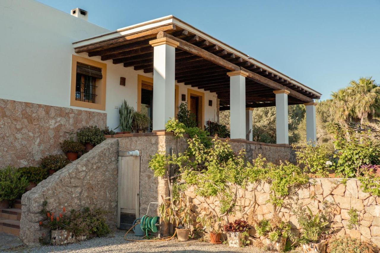 Roser - Santa Gertrudis