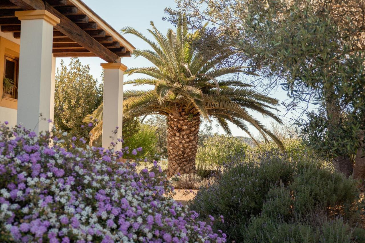 Villa Roser - Santa Gertrudis