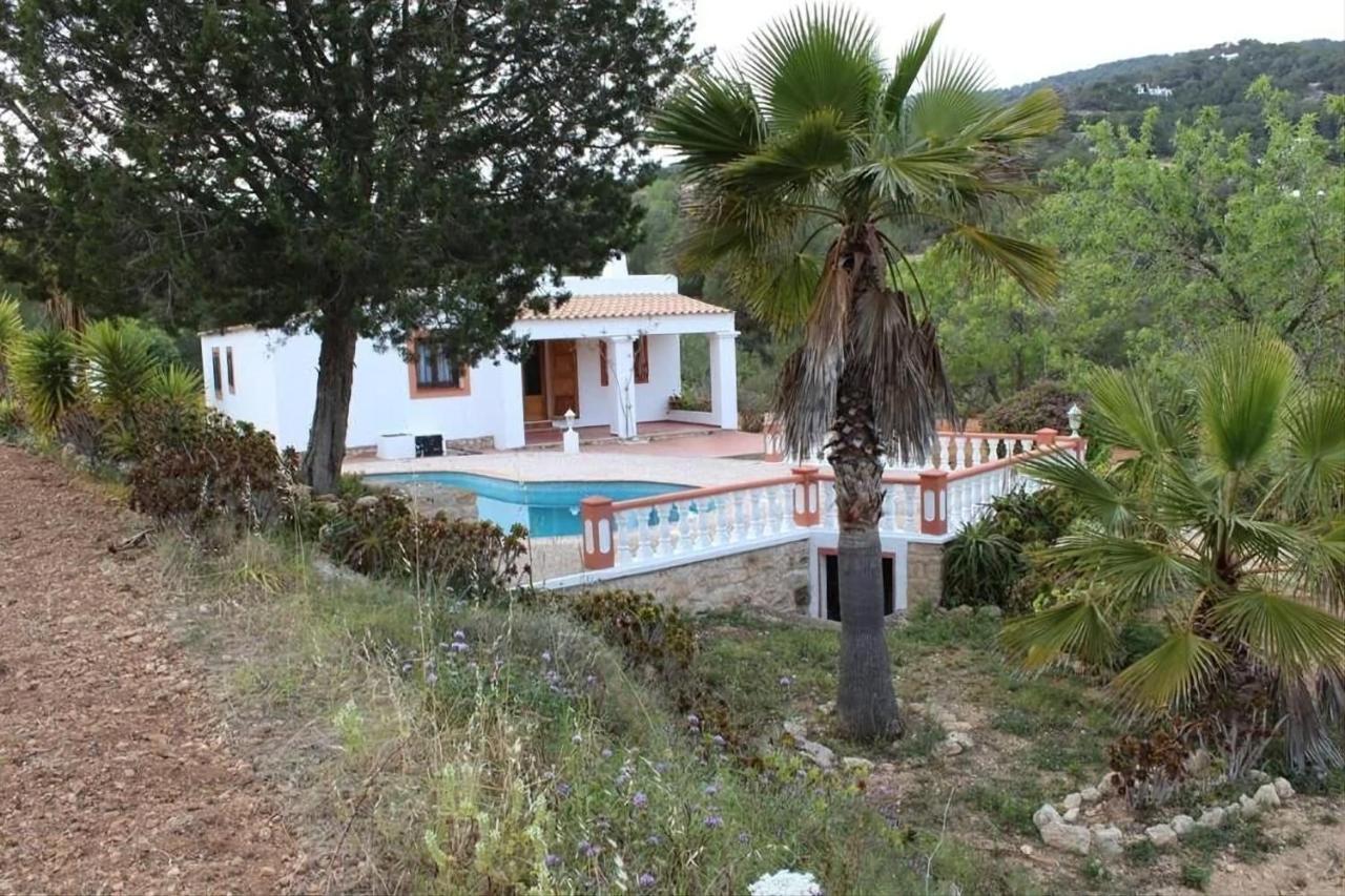 Great Paradise San José