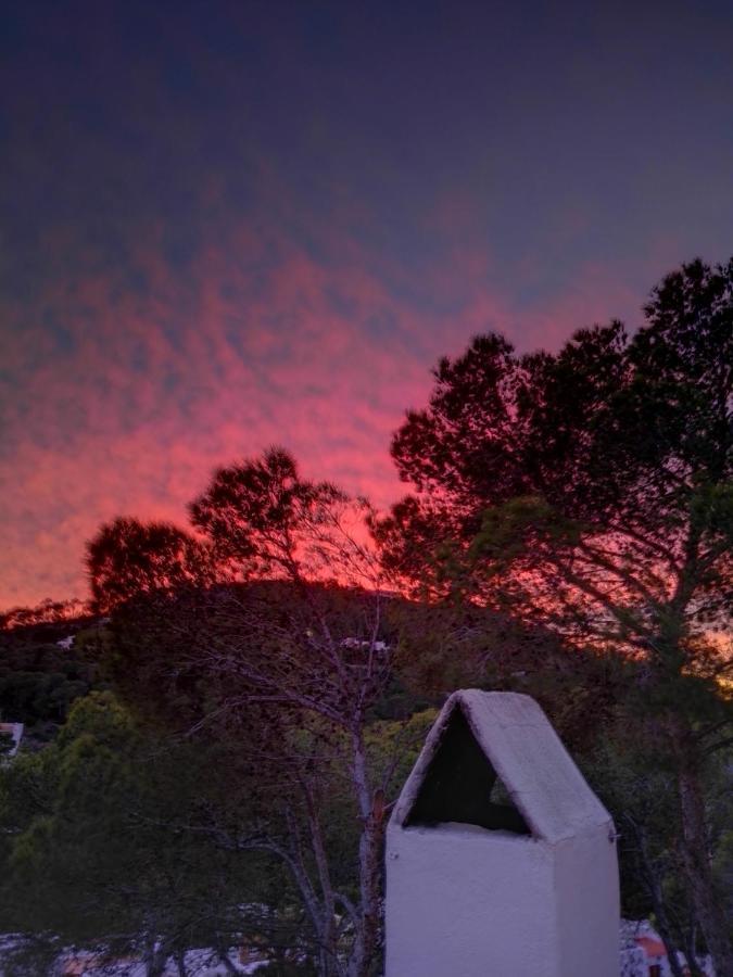 Vaixell Wonderful Sunsets Private Terraces
