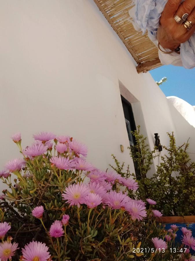 Vaixell Wonderful Sunsets Private Terraces