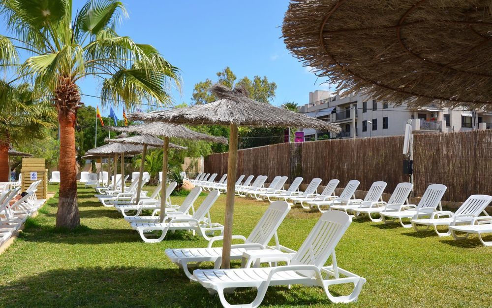 Vibra - Adults Only 2*