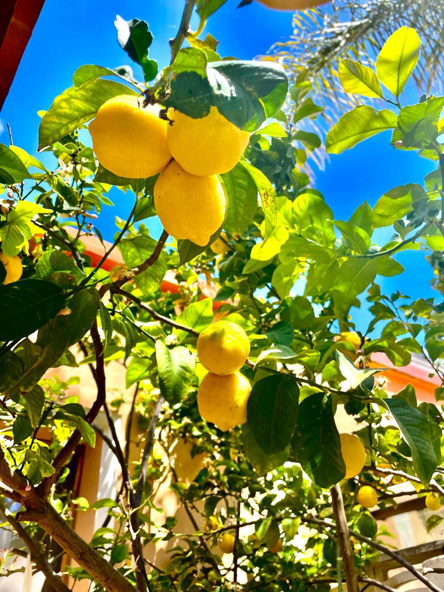 Casa Klod * Ibiza