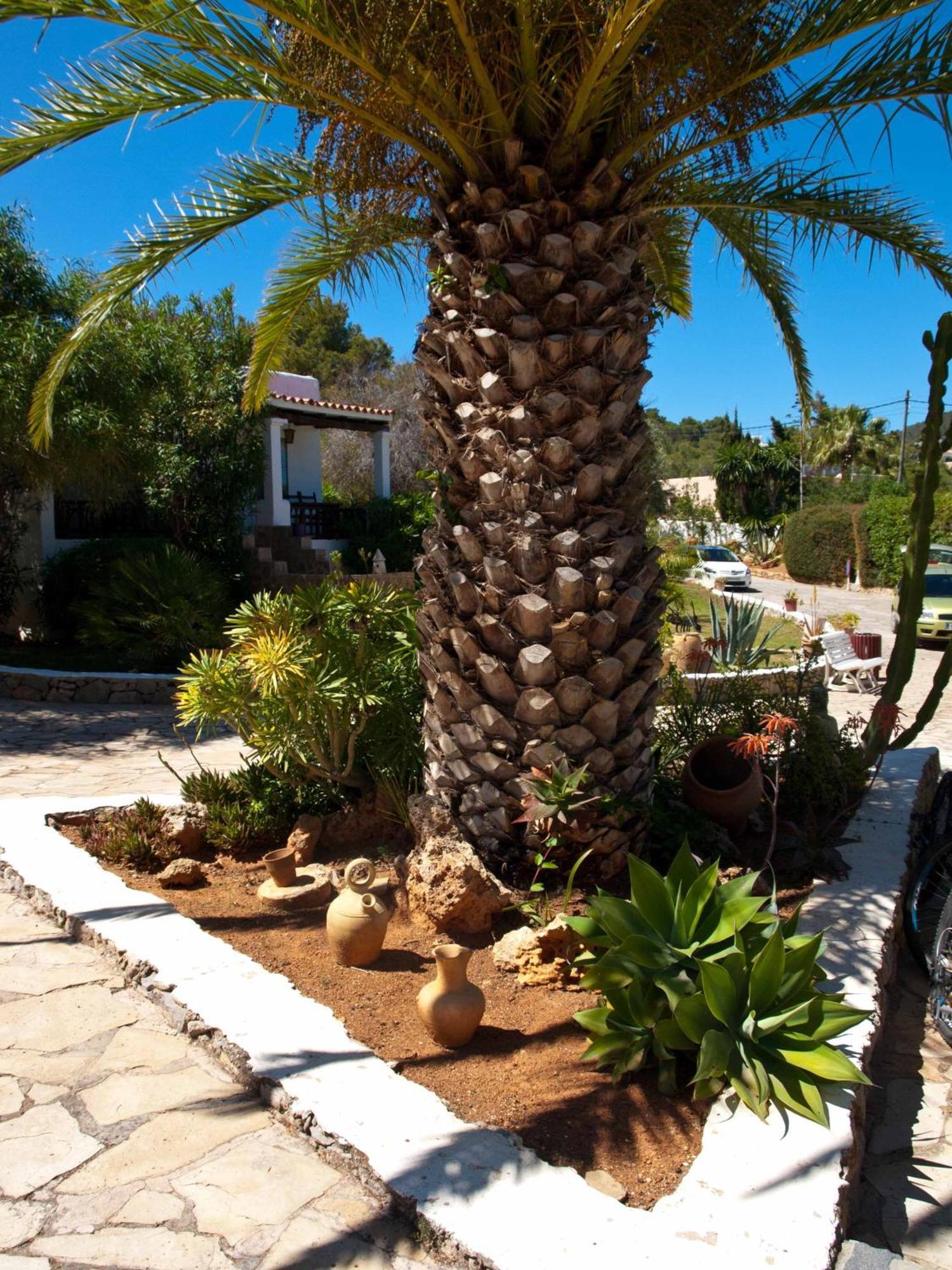Club Jordi Hotel Cala Llena