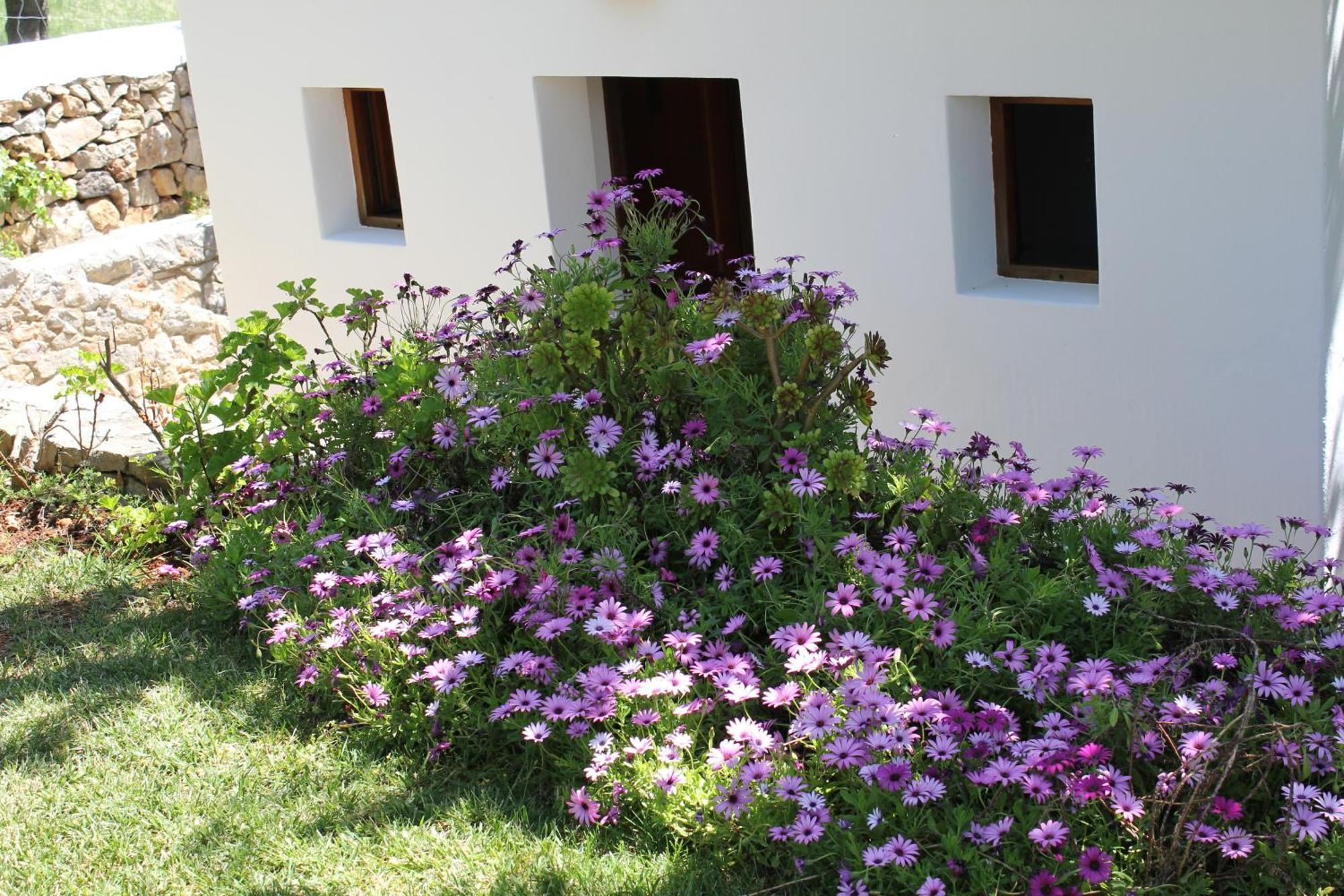 Fuster Country house Sant Joan De Labritja