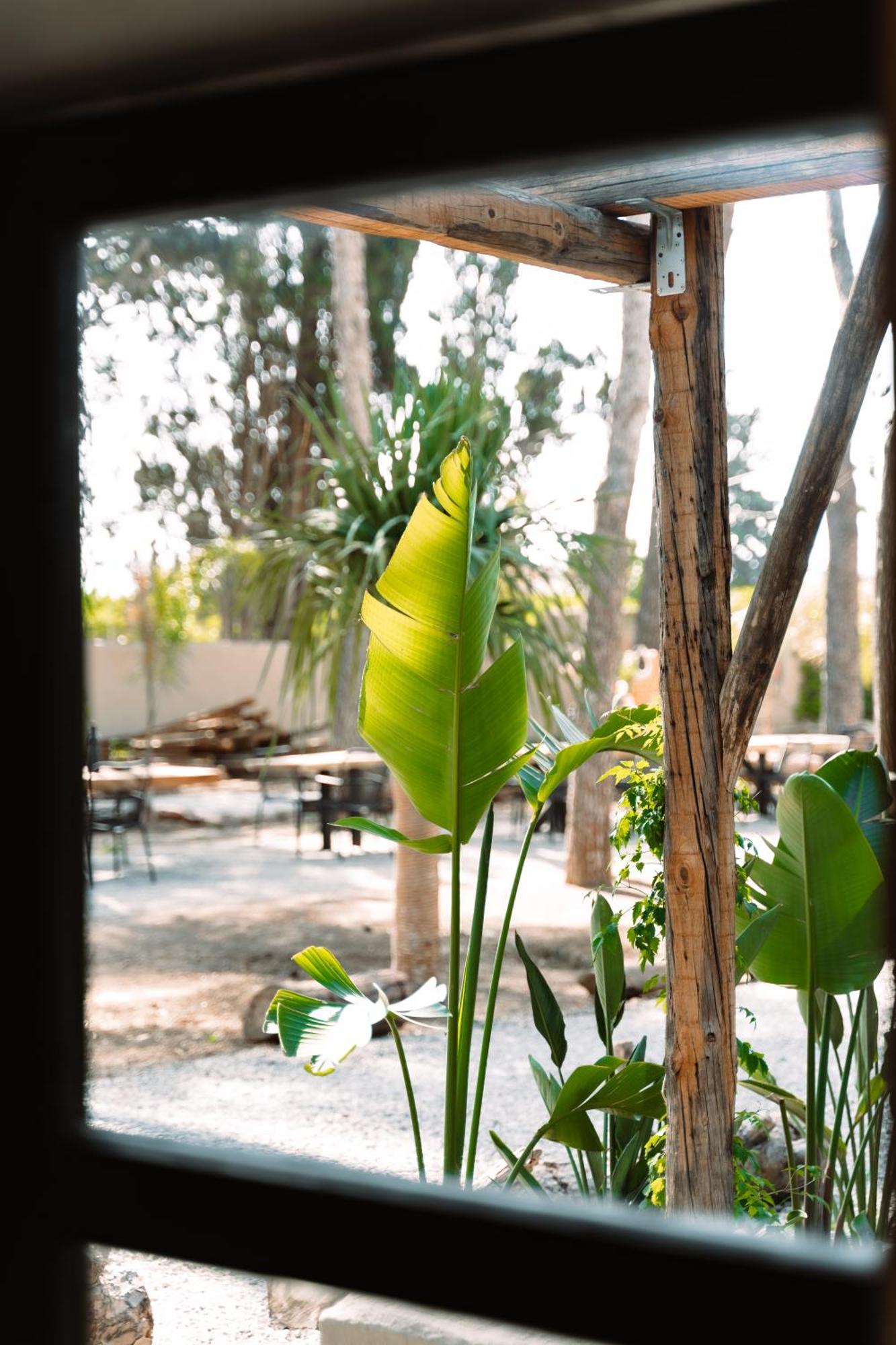Parco Ibiza, By San Antonio Est 1961 Campsite