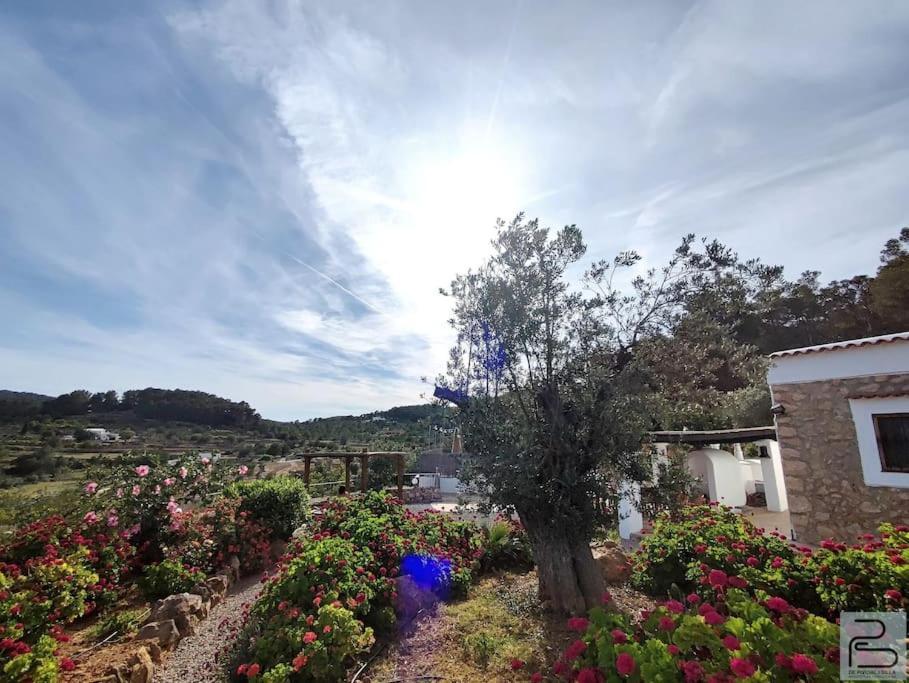 Vakantiehuis Casa Lluc Con Piscina, Jardin Y Vista Al Campo *