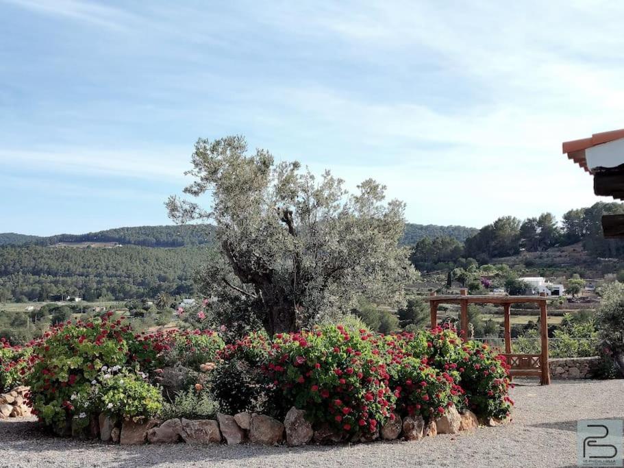 Casa Lluc Con Piscina, Jardin Y Vista Al Campo Vakantiehuis