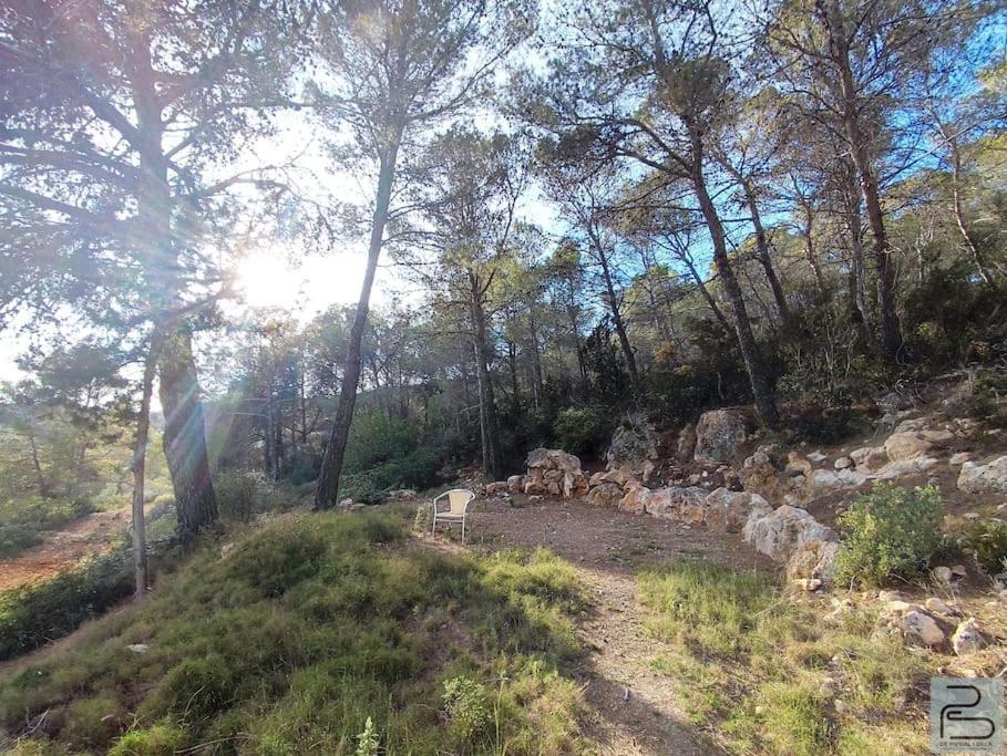 Vakantiehuis Casa Lluc Con Piscina, Jardin Y Vista Al Campo