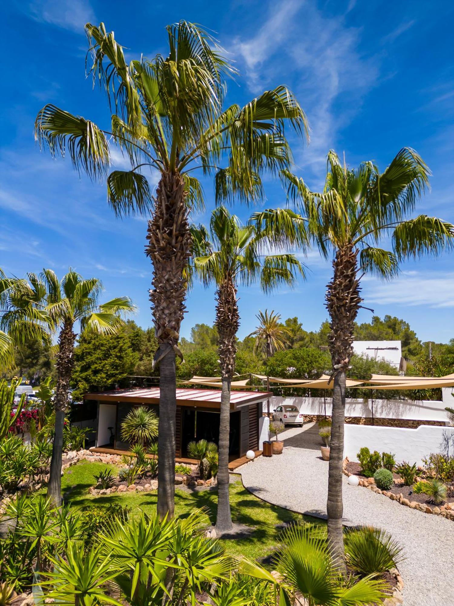 Hotel Boutique Ses Pitreras Hotel San Antonio (Ibiza)