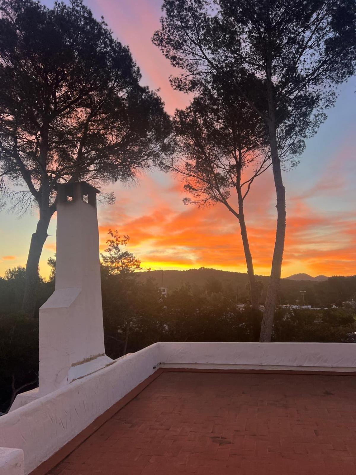 Villa Spacious & Luxury In Ibiza - Santa Gertrudis - Chiquita *