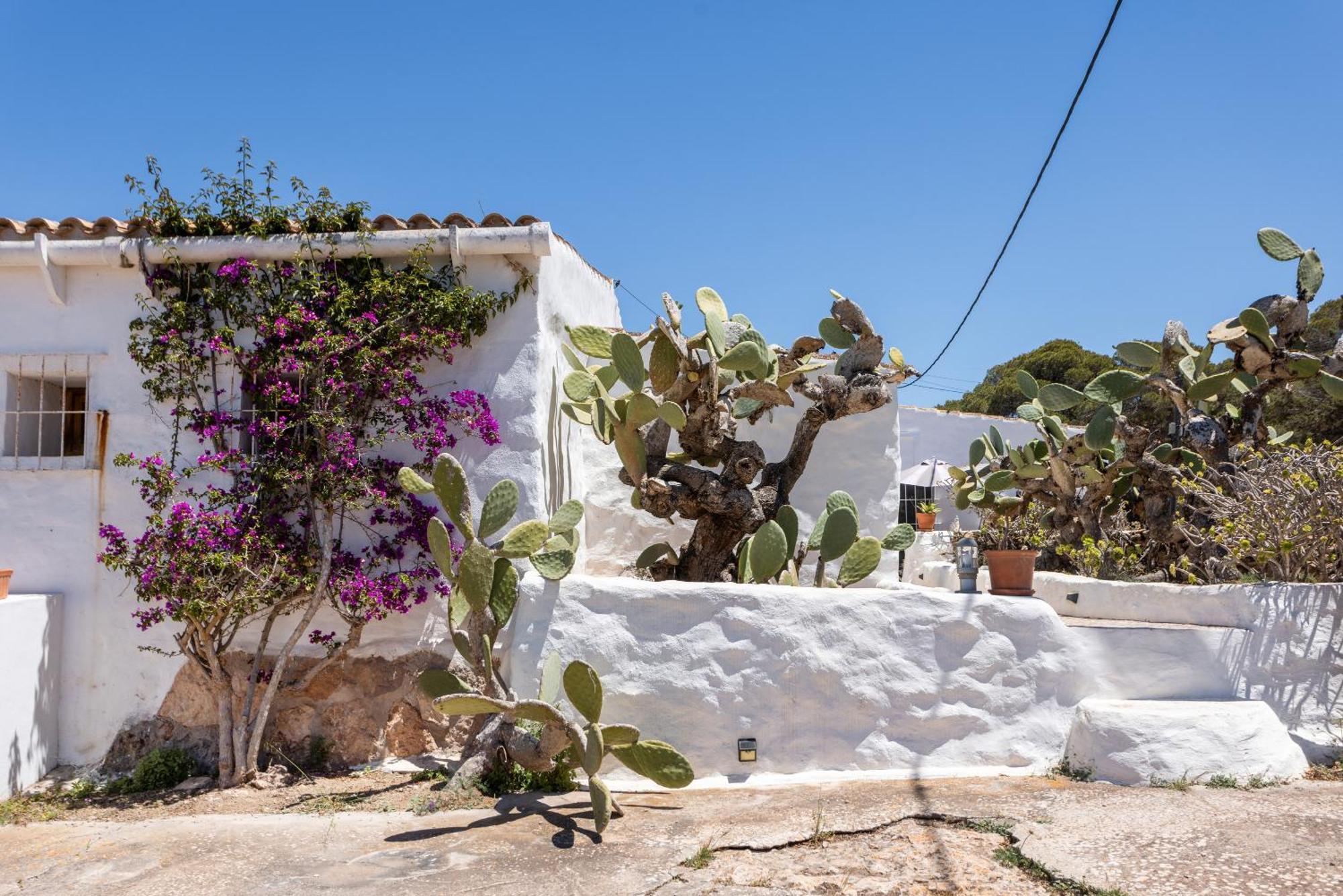 Vital 2 * BALEARIC ISLANDS