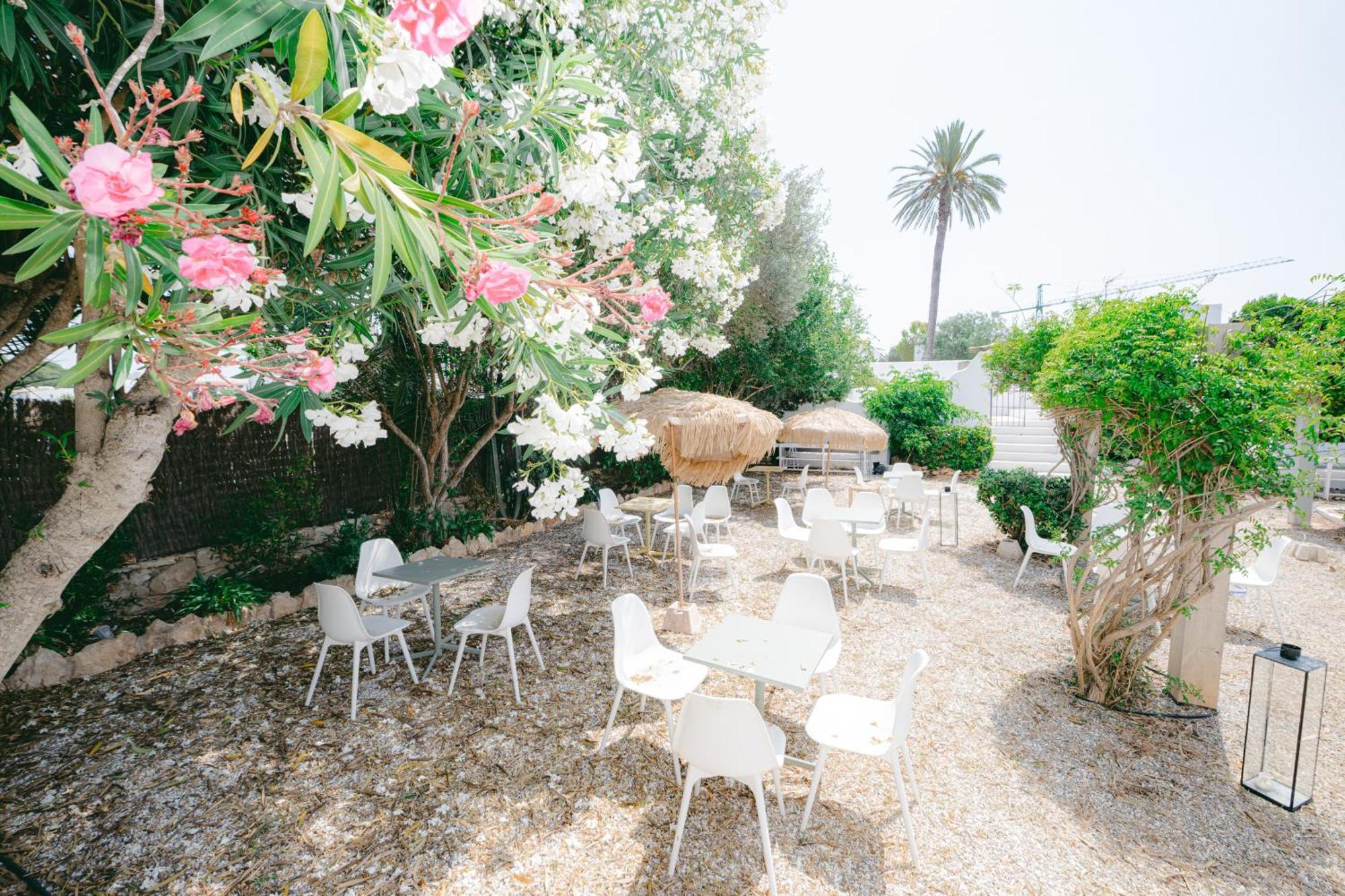 Flamingo By Nest Cala Llenya (Ibiza)