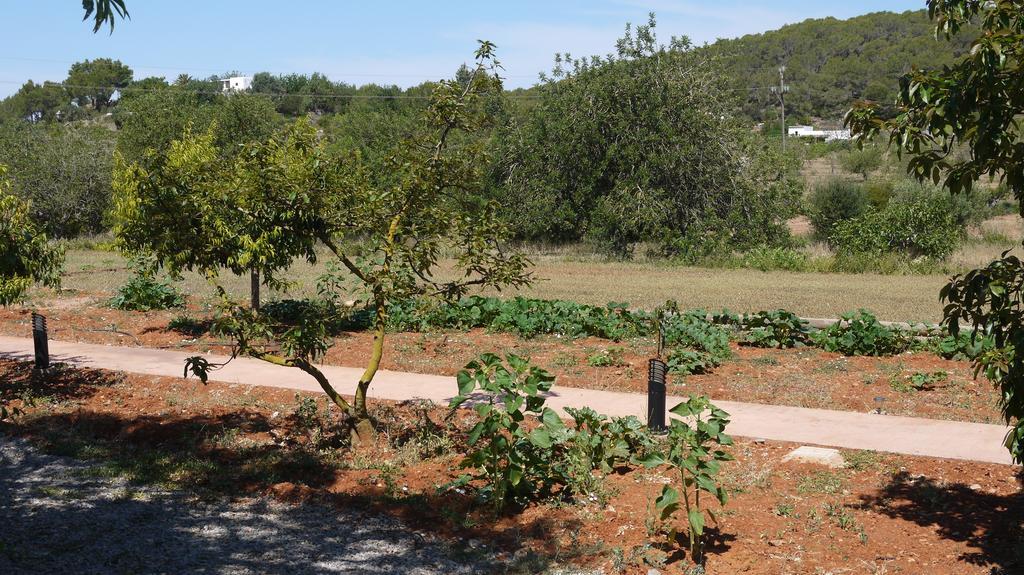 Casa de férias Gat Sant Carles de Peralta