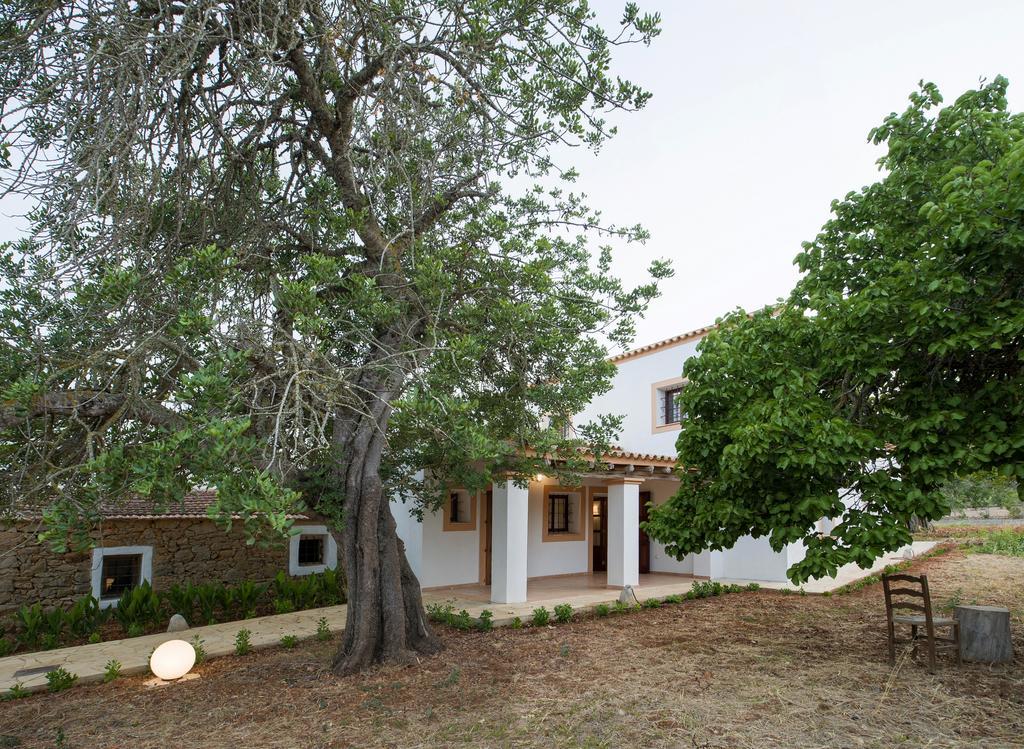 Villa Cama *