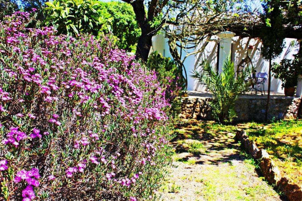 Country house Fuster Sant Joan De Labritja