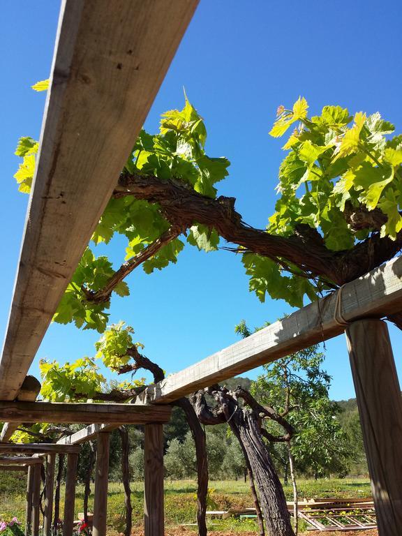 Ca Na Joaneta Agroturismo Santa Eulalia del Río