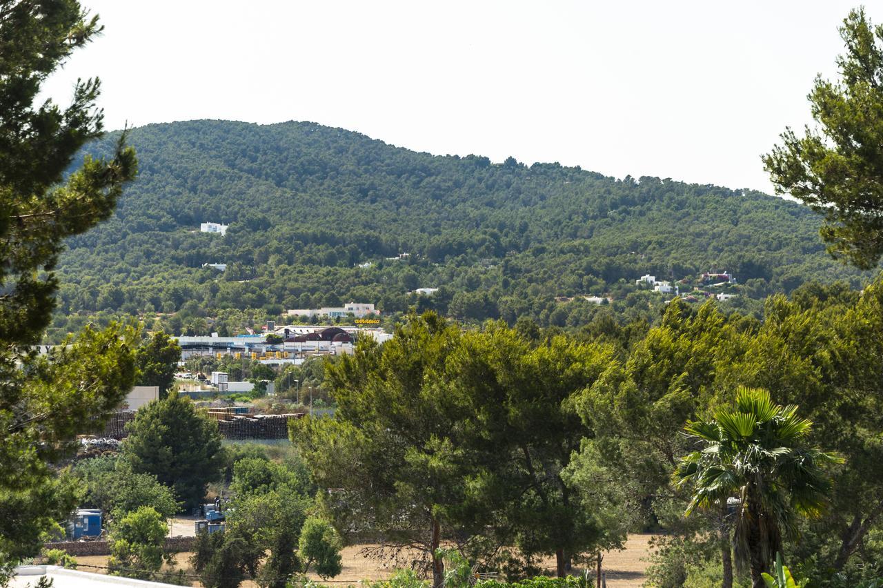 Palazon Montecristo