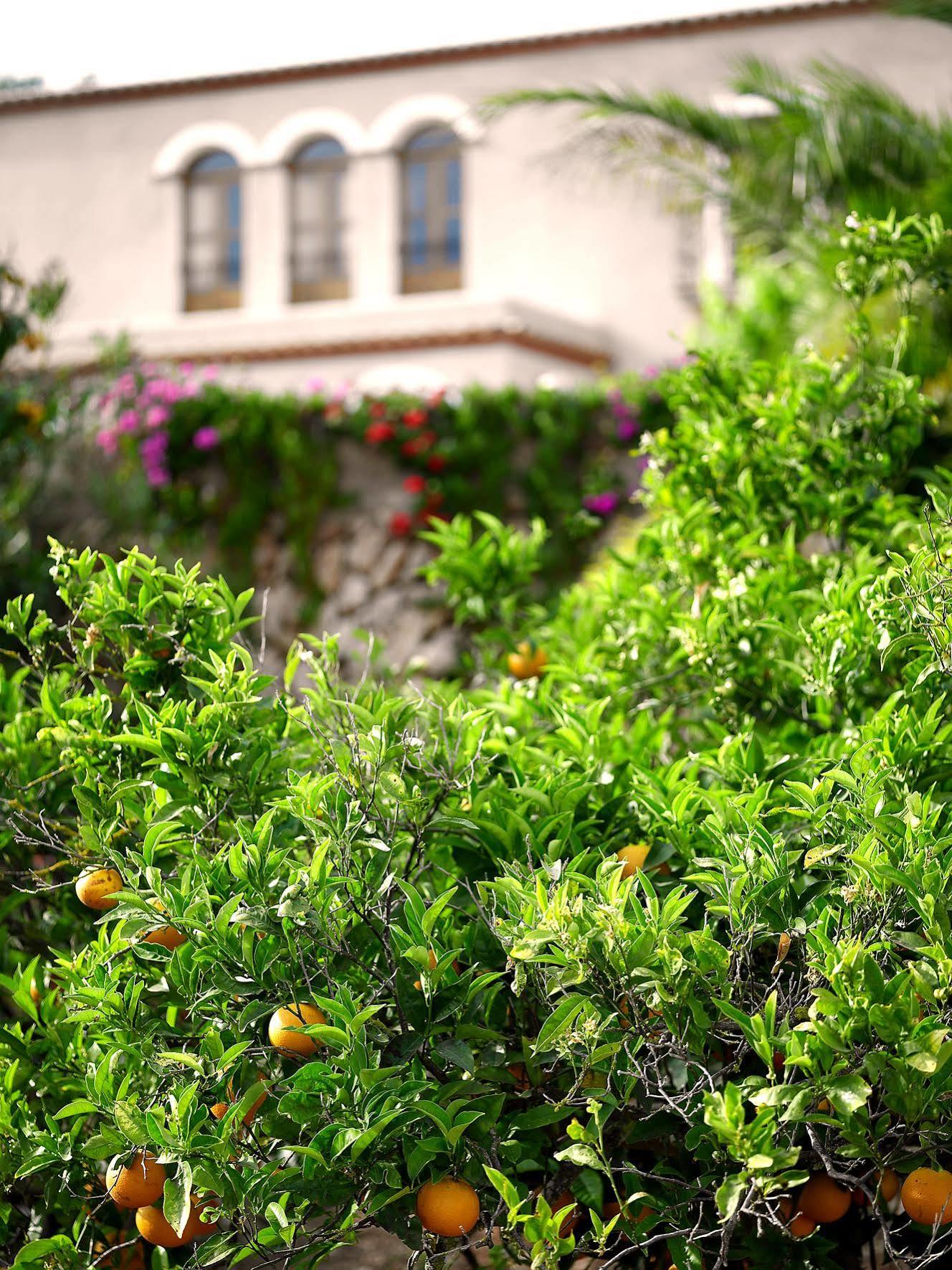 Planells * Sant Miquel de Balansat