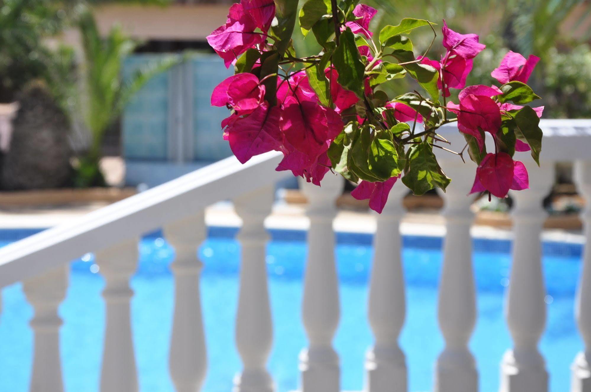 Neptuno Hotel Ibiza Town