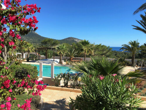 Petunia Ibiza (adults Only) 3*