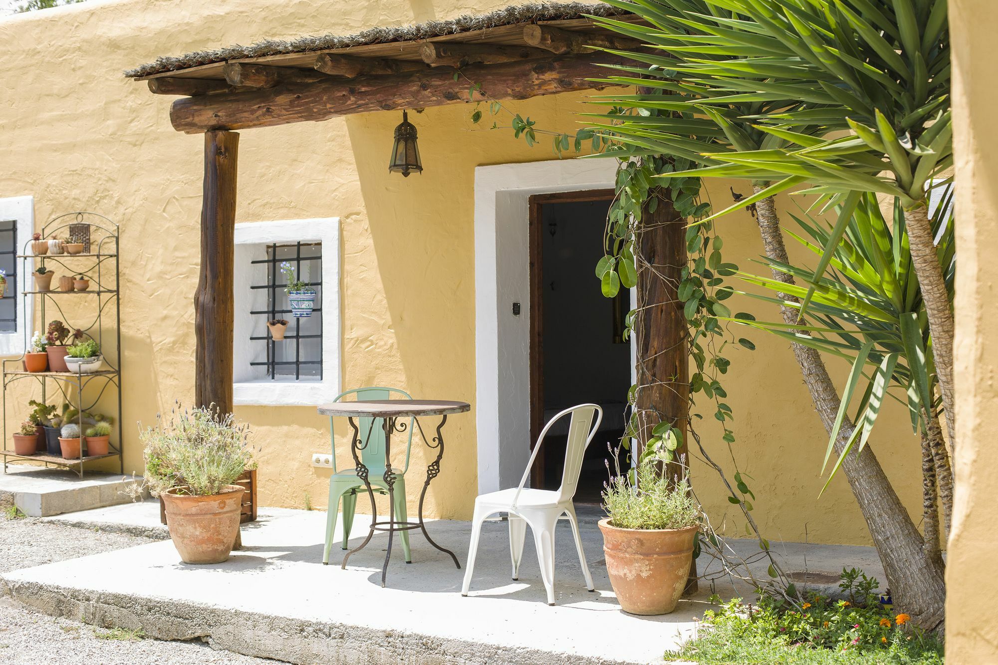 Mariposas Ibiza